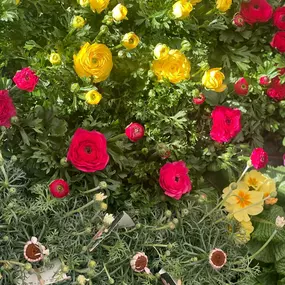 Bild von Gärtnerei Mehrings