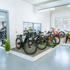 Bild von e-motion e-Bike Welt, Dreirad- & Lastenfahrrad-Zentrum Hamburg Alstertal