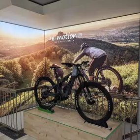 Bild von e-motion e-Bike Welt, Dreirad- & Lastenfahrrad-Zentrum Hamburg Wandsbek