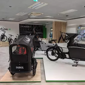 Bild von e-motion e-Bike Welt, Dreirad- & Lastenfahrrad-Zentrum Hamburg Wandsbek