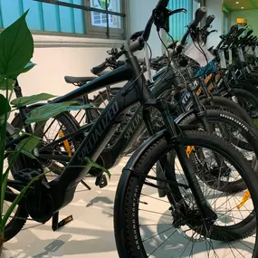Bild von e-motion e-Bike Welt, Dreirad- und Lastenfahrrad-Zentrum Frankfurt Nord
