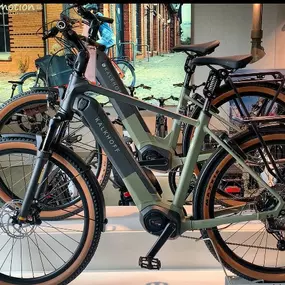 Bild von e-motion e-Bike Welt, Dreirad- und Lastenfahrrad-Zentrum Frankfurt Nord
