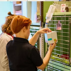 Bild von Tierarzt Beck Rossach, Dr. Peter Beck - Fachtierärztliche Praxis für Kleintiere