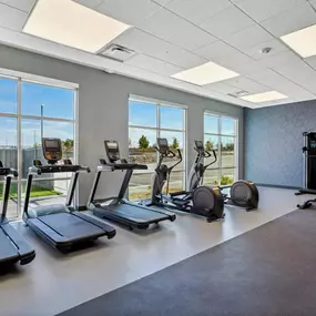 Health club  fitness center  gym