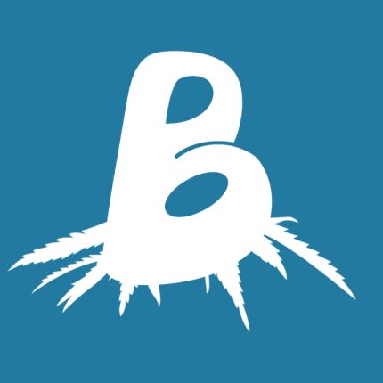 Logo from BUDZ e.V.