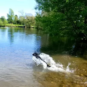 Bild von Captain Jack Russell Pet Services