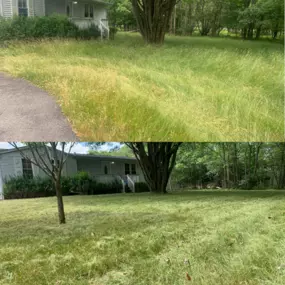 Bild von Marian's Grass Cutting Services