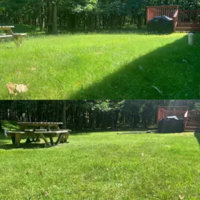 Bild von Marian's Grass Cutting Services