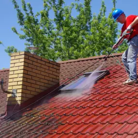 Roof cleaning