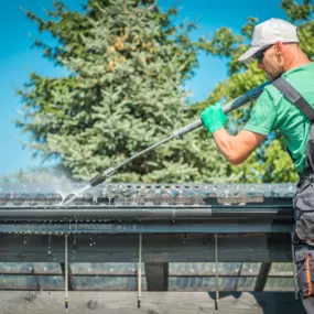 Gutter cleaning