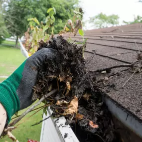 Gutter cleaning