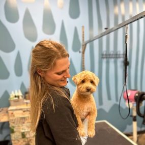 Bild von Pet Wash & Grooming