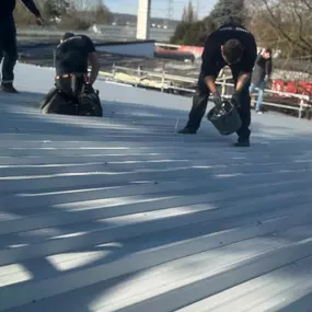 Bild von Dach Vision