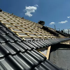 Bild von Dach Vision