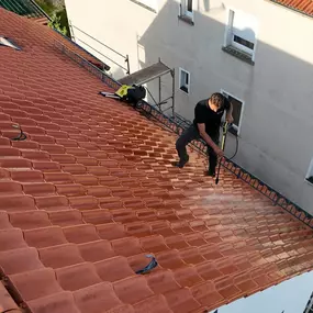 Bild von Dach Vision