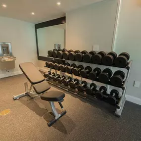 Health club  fitness center  gym