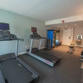 Health club  fitness center  gym