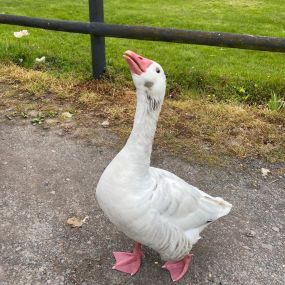 Bild von Watersmeet Country Hotel & Angling Centre