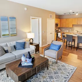 Living room with kitchen