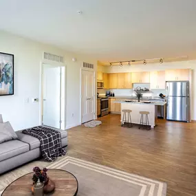 Open space living room with kitchen