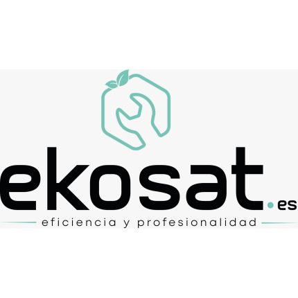 Logotipo de Ekosat