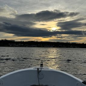 Bild von BOOTE & MEHR Bootsverleih am Geiseltalsee