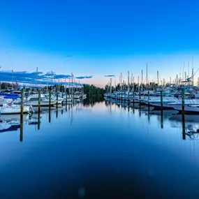 Bild von Harbortown Marina - Canaveral