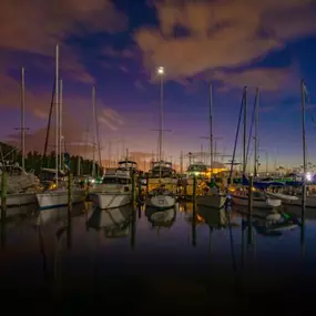 Bild von Harbortown Marina - Canaveral