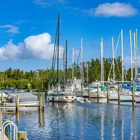 Bild von Harbortown Marina - Canaveral