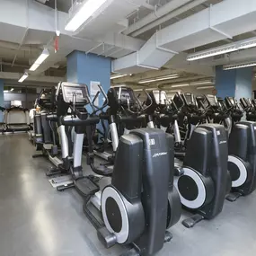 Bild von McBurney YMCA