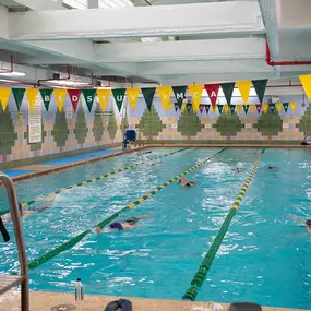 Bed-Stuy Y pool
