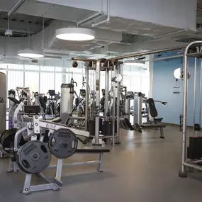Bild von Northeast Bronx YMCA