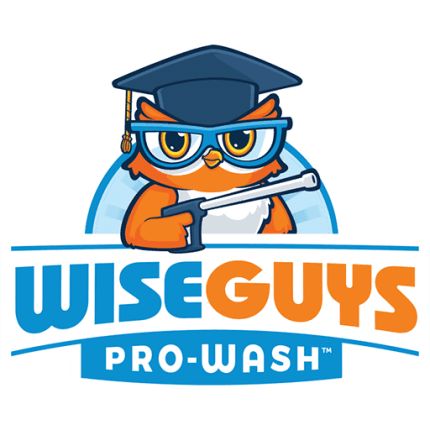 Logotipo de WiseGuys Pro-Wash