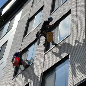 Bild von Starbrite Window Cleaning