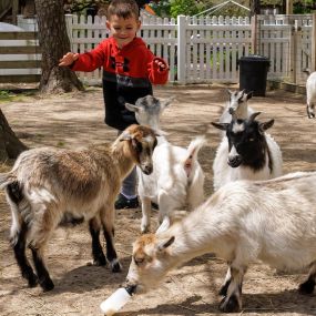 Bild von Long Island Game Farm Wildlife Park & Children's Zoo