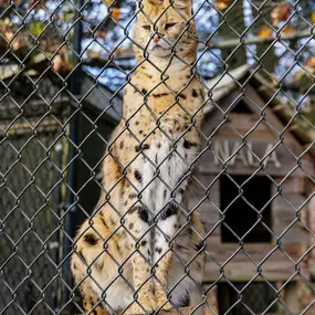 Bild von Long Island Game Farm Wildlife Park & Children's Zoo