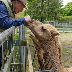 Bild von Long Island Game Farm Wildlife Park & Children's Zoo