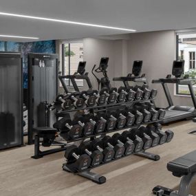 Health club  fitness center  gym