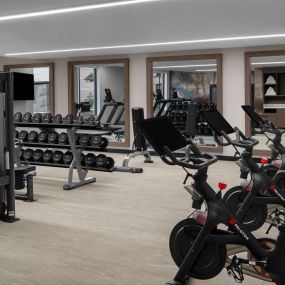 Health club  fitness center  gym