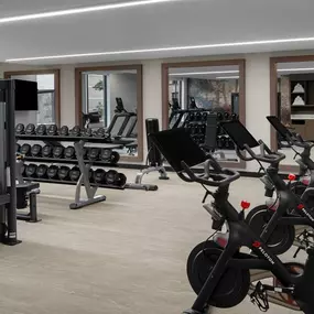 Health club  fitness center  gym