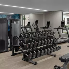 Health club  fitness center  gym