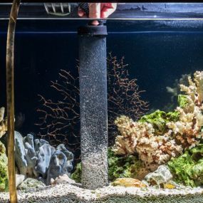 Comprehensive Aquarium Maintenance