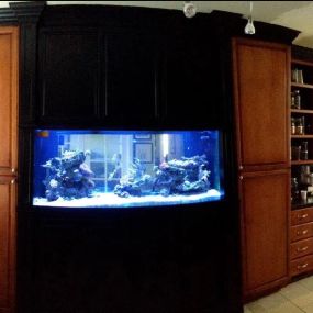 Quality Saltwater Tanks