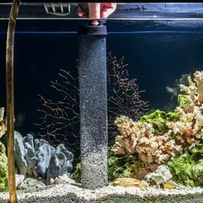 Comprehensive Aquarium Maintenance