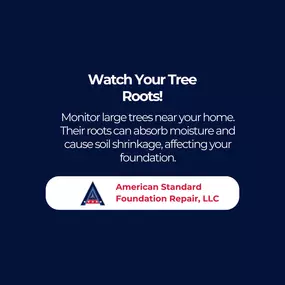 Watch your tree roots! Keep an eye on large trees near your home. Their roots can absorb moisture and cause soil shrinkage, impacting your foundation. At American Standard Foundation Repair-Memphis, our skilled professionals are committed to providing top-quality service to keep your home’s foundation strong and secure.