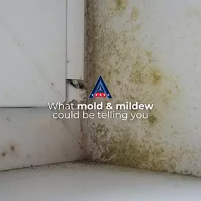 At American Standard Foundation Repair, during our in-home inspections, we are always on the lookout for mold and mildew growth in your crawlspace. Mold and mildew can indicate potential issues with your home's foundation. Additionally, excessive moisture in a crawl space can be a sign of poor drainage or even a leak in your foundation. This could end up being a costly repair if not caught in time. If you see mold or mildew in your crawlspace, please don’t hesitate to reach out to American Stand