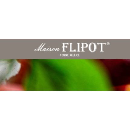 Logo da Maison Flipot