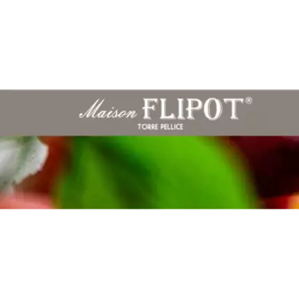 Logo from Maison Flipot