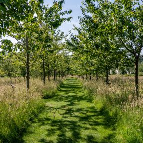 Bild von Clayton Wood Natural Burial Ground