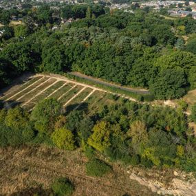 Poole & Wimborne Woodland Burial Ground & Funeral Directors